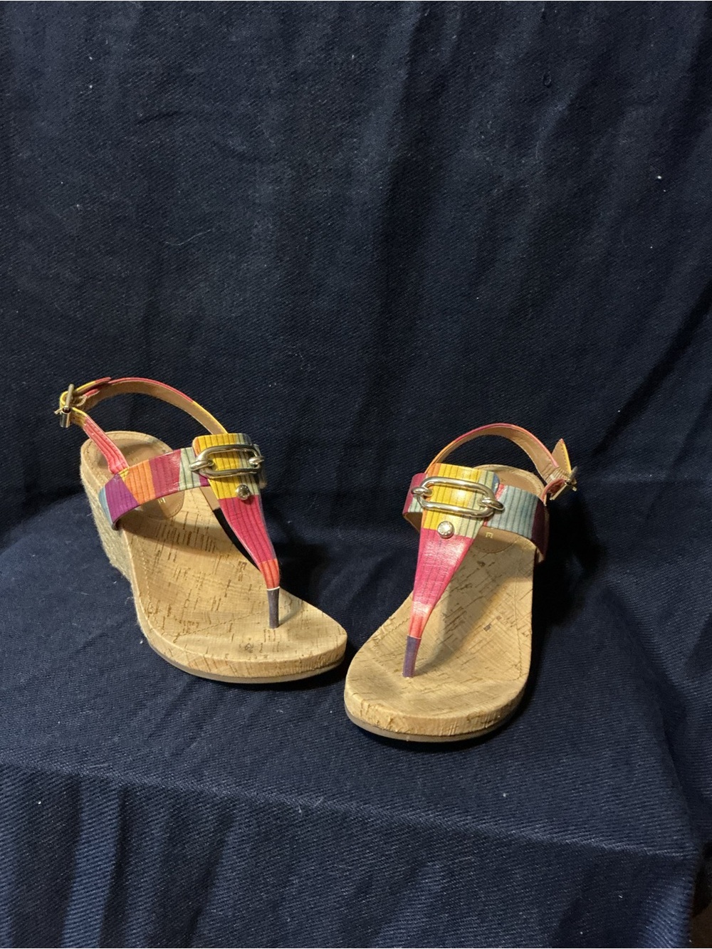 Alex Marie Multicolor Cork Thong Wedge Sandals